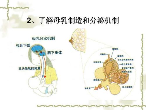 哺乳期奶水吃不完给谁吃比较好,哺乳期奶水太多宝宝吃不完