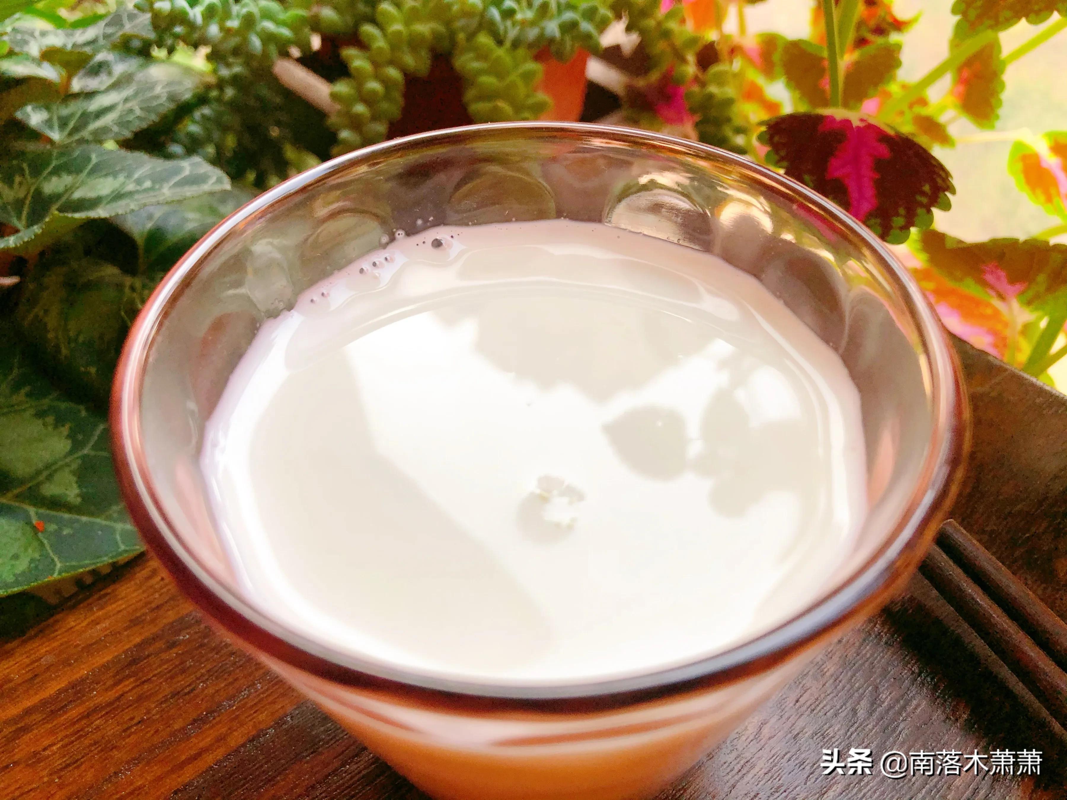 我的早餐日记小笼包,我的早餐日记三明治