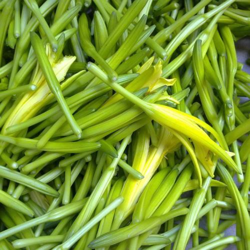 上等的山珍,上等山珍国宾菜