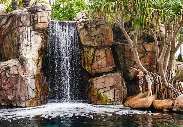 澳大利亚旅游抱考拉,麻麻游记视频大全