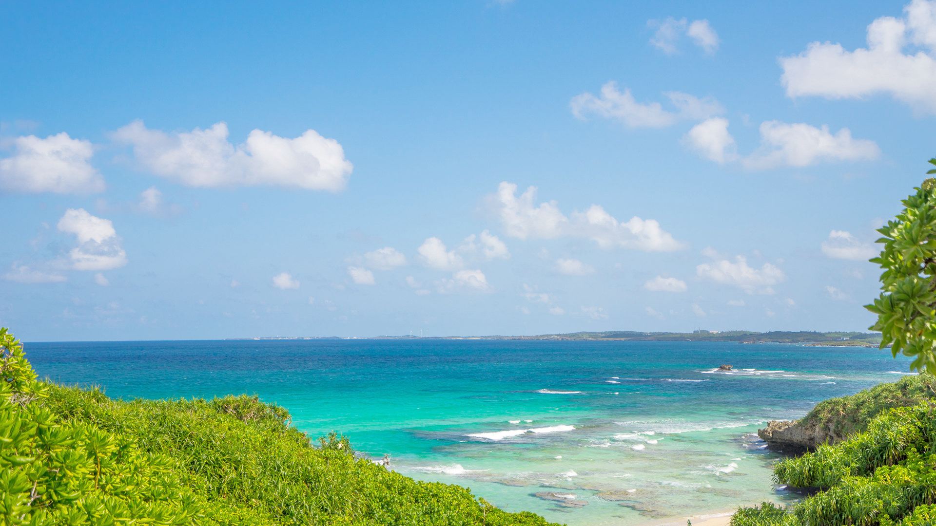 小学语文知识点大全关联词训练,四年级句型转换专项训练关联词语