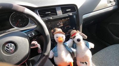 大众t-roc探歌高清图片2021,大众troc探歌汽车之家