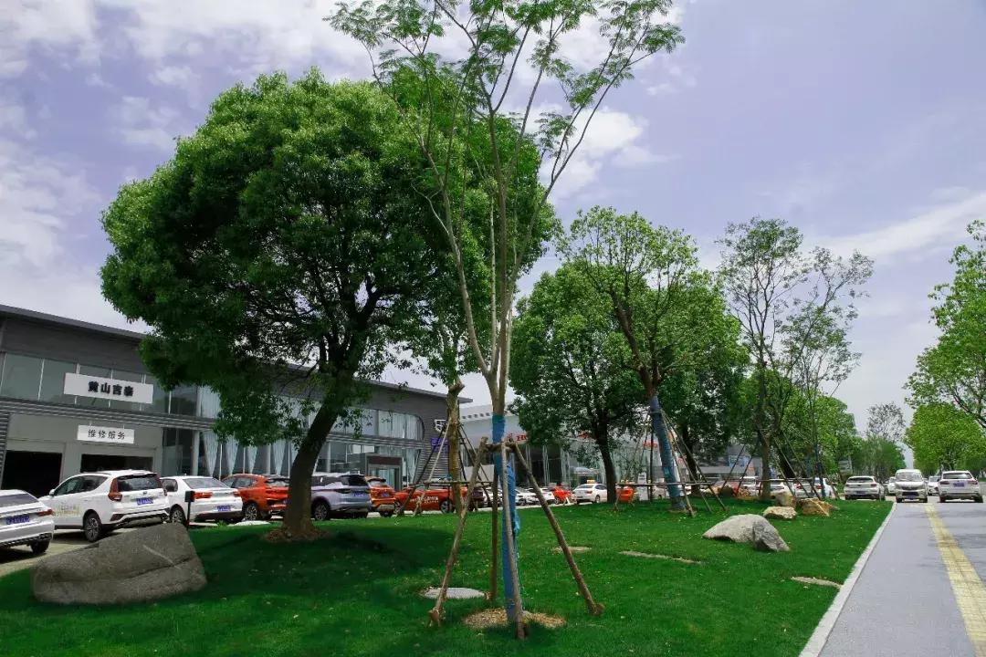 一石百景寸石丈情