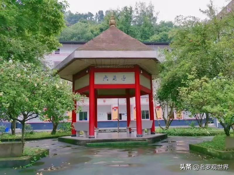 万州三峡文武学校,万州学校最新消息