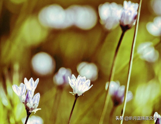 往后余生要释怀,学着释怀往后余生好好爱自己