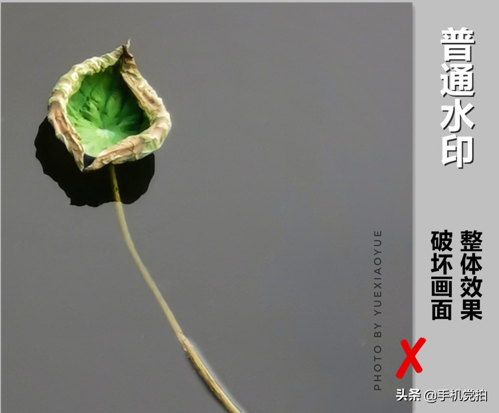 如何快速给大量照片添加水印,怎么给照片加好看的水印