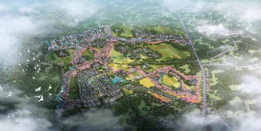 走出镜头的青城溪村，一处现实版“乌托邦”