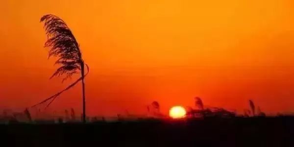 上海23个免费游玩的景点攻略,上海值得去的免费景点排名前十