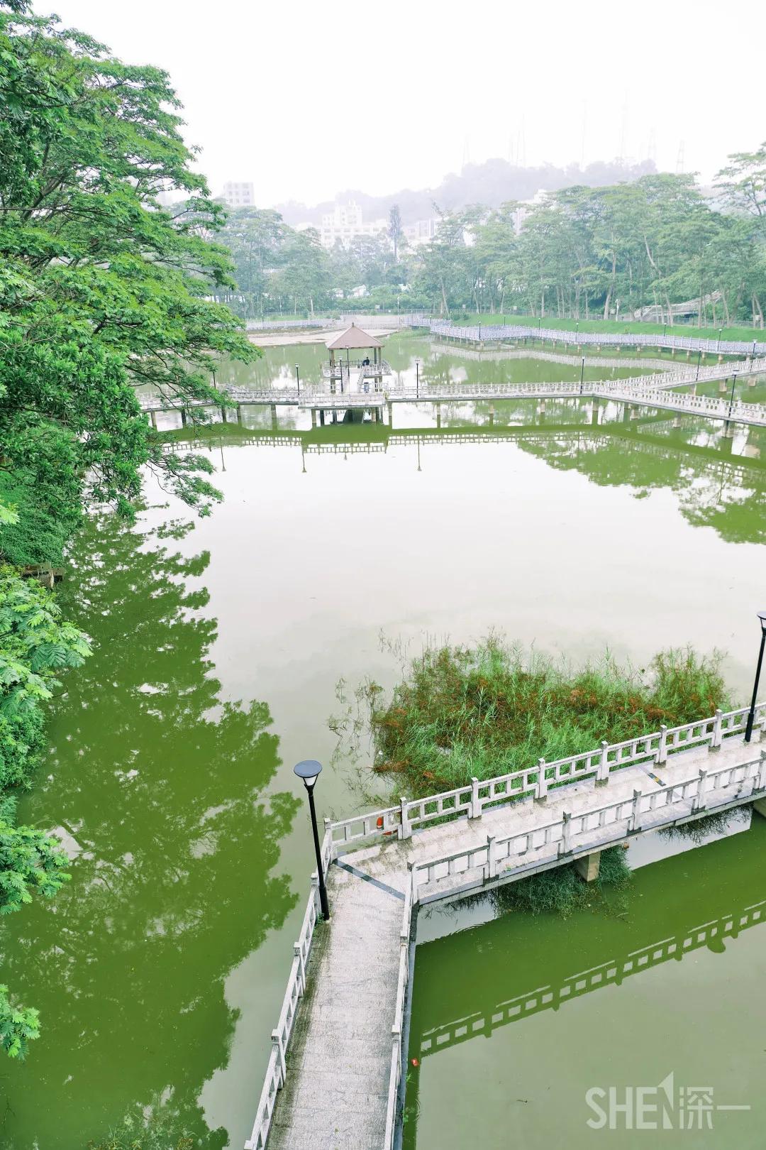 深圳八大绝美公园,山水公园深圳