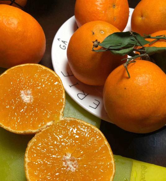 浼楁璧ｅ崡鑴愭,浼楁