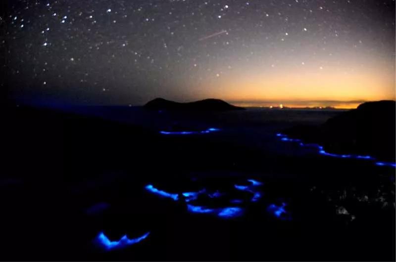 象山渔山列岛海钓,象山渔山列岛攻略