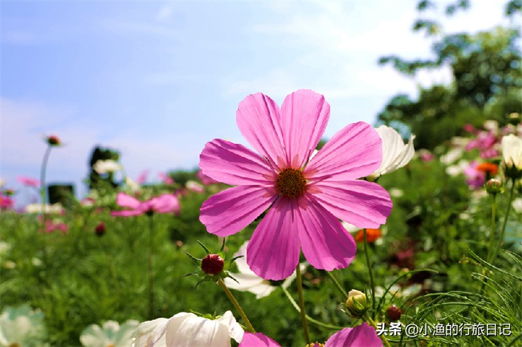 一到盛夏这座小城就是避暑胜地,哪些地方适宜避暑养老旅游