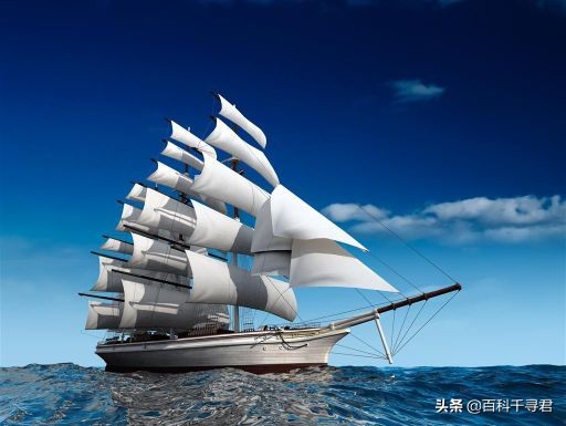 关于动物的10个伪事实你信了吗,关于动物的谣言许多人却深信不疑