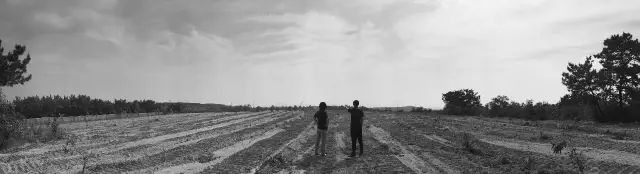 澶氳倝澶х浜屾湪,澶氳倝杈句汉浜屾湪