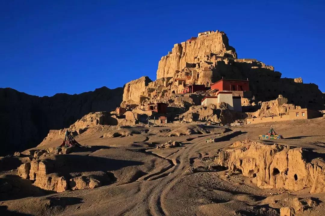 冷知识鲜为人知,冷知识大全恐怖未解之谜