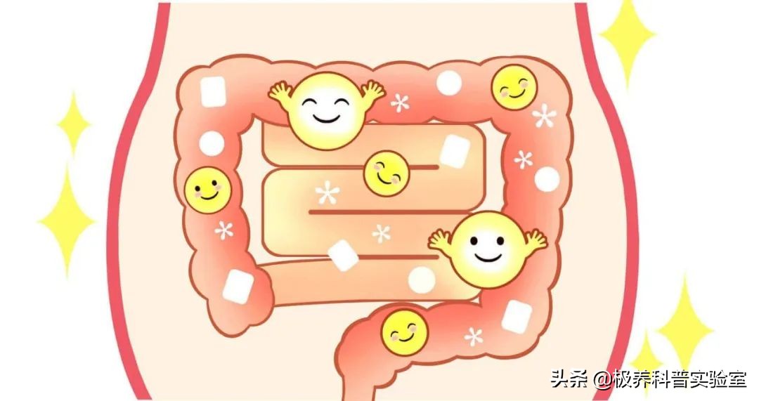 婴幼儿益生菌口碑最好的前十名,益生菌婴幼儿排行榜