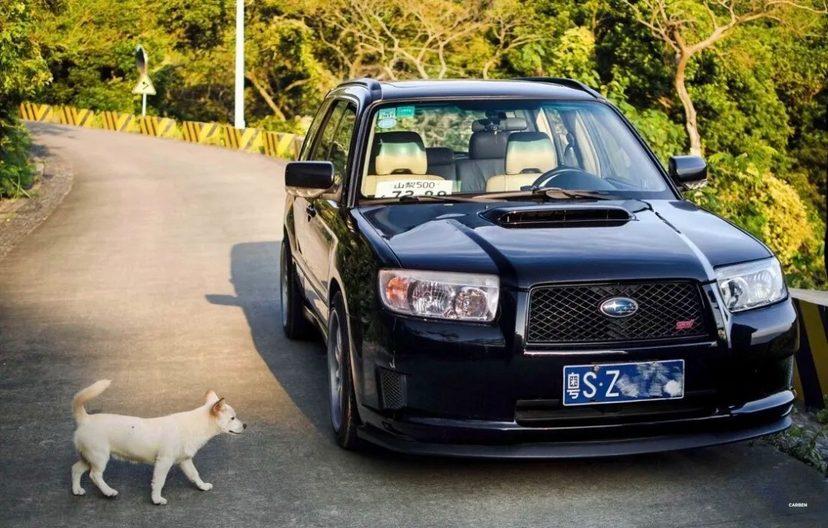 2020年我第一个喜欢的女生，在GIRLSCLUB