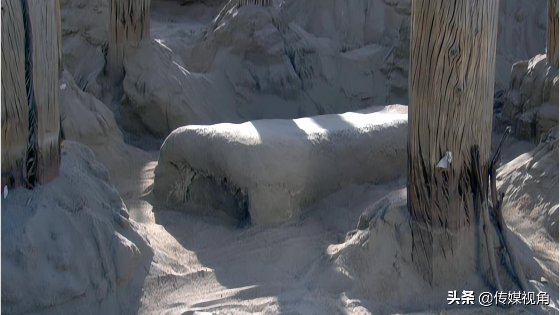 小河墓地所有尸骨样子,小河墓地被正式挖掘