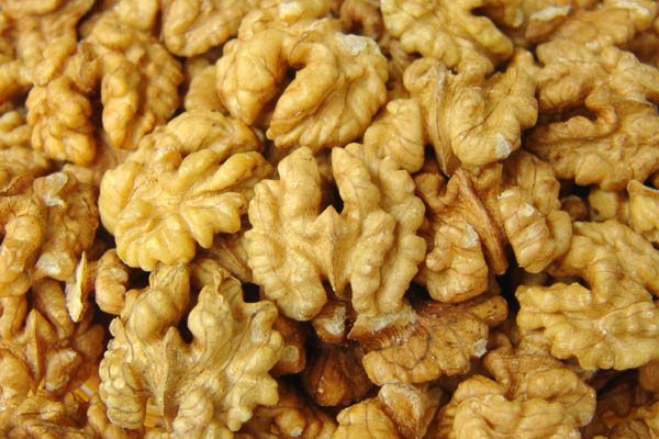 核桃全身都是宝,核桃全身是宝有什么作用