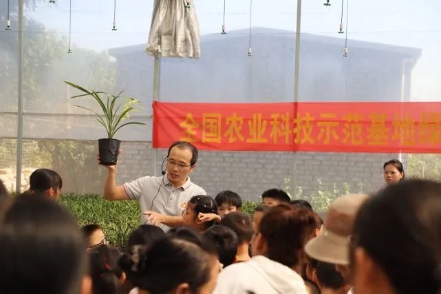 农村乡下种植的兰花,农业种植致富项目兰花