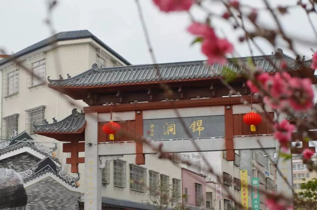 记录广州从化赏李花的美好时光,2022从化李花赏花期到几号最佳