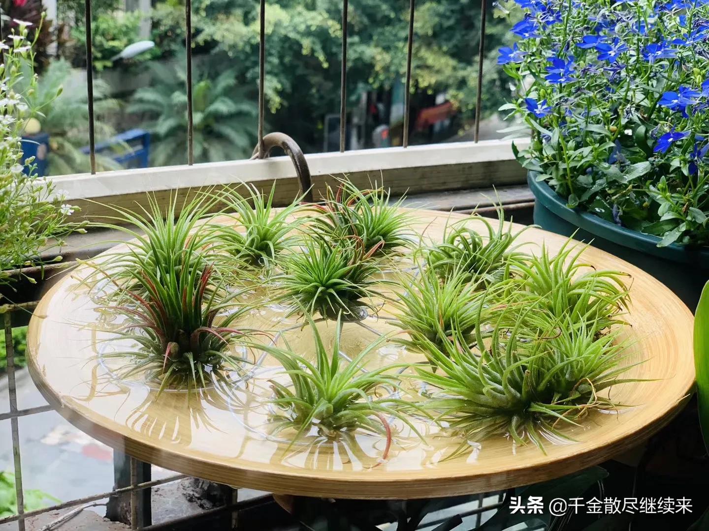 收录机哪款最经典,收录机经典