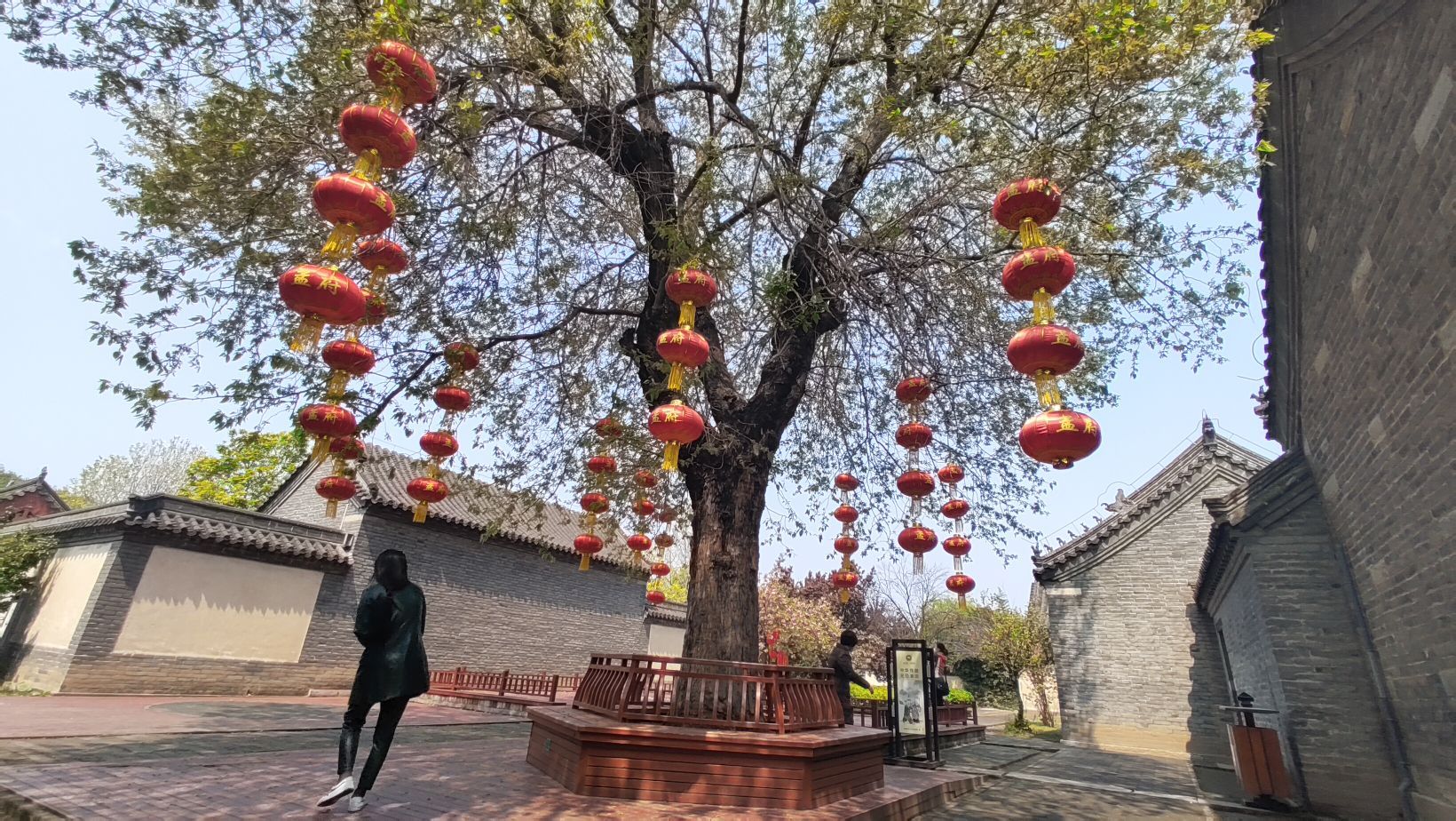 山东值得去的旅游景点,山东景区排名必游景区前十名