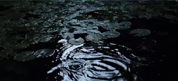 一日慎独则心安日日精进,日日精进人生