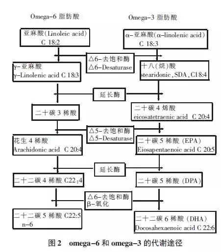 核桃油促进婴儿大脑发育,核桃油能促进大脑发育吗