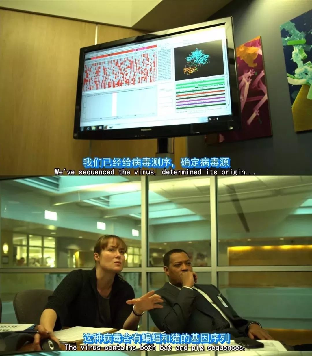 双黄连卖了多少钱,双黄连片退钱吗