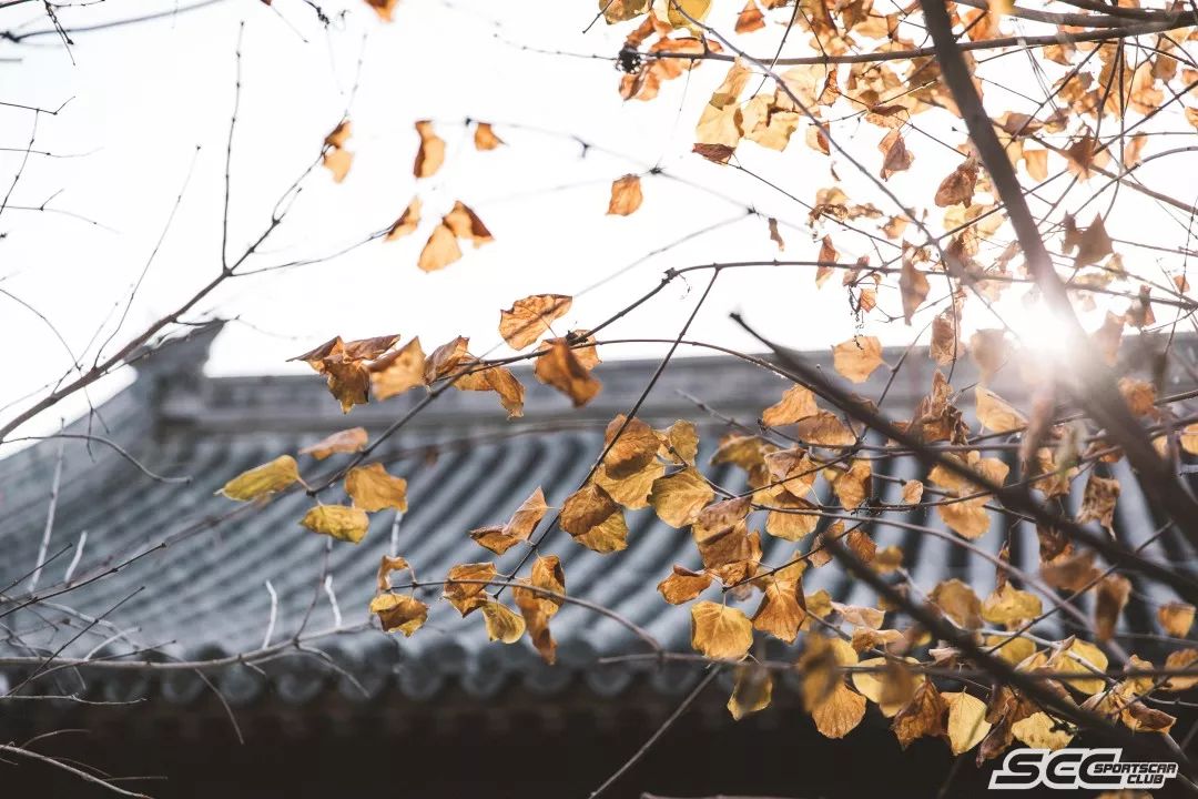 要健康精致!SCCCOFFEEMAP第一弹