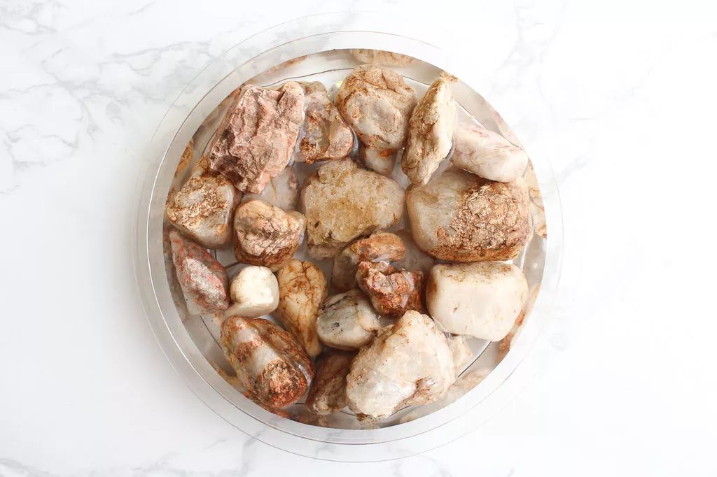 适合闷养的蕨类植物,彩色蕨类植物怎么养护