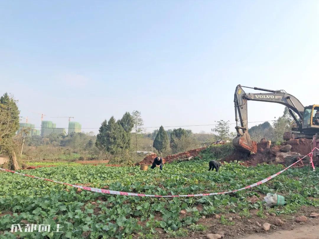 成都2024年火爆项目,巨变前夜智能网联汽车