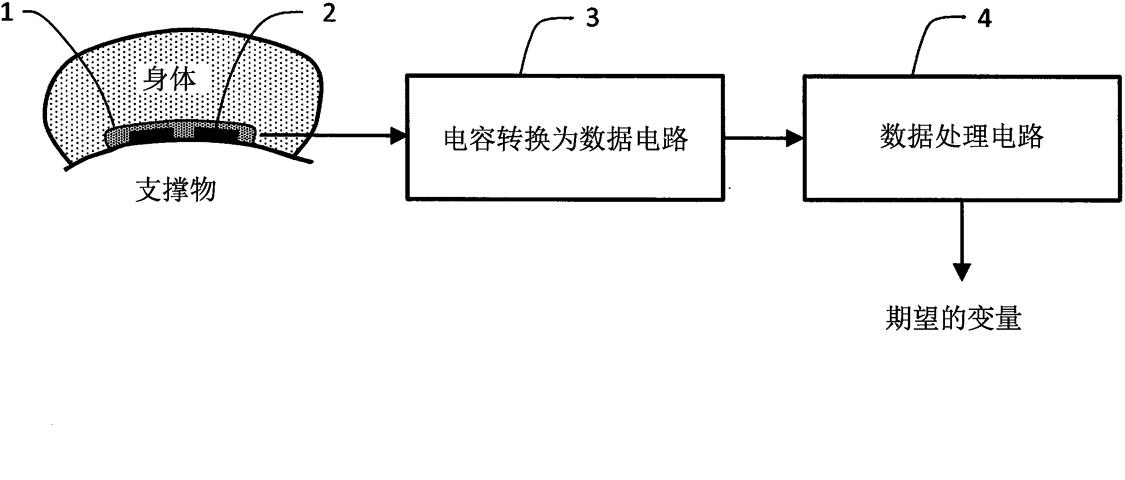 喝枸杞原浆加人参,喝酒熬夜人参配枸杞