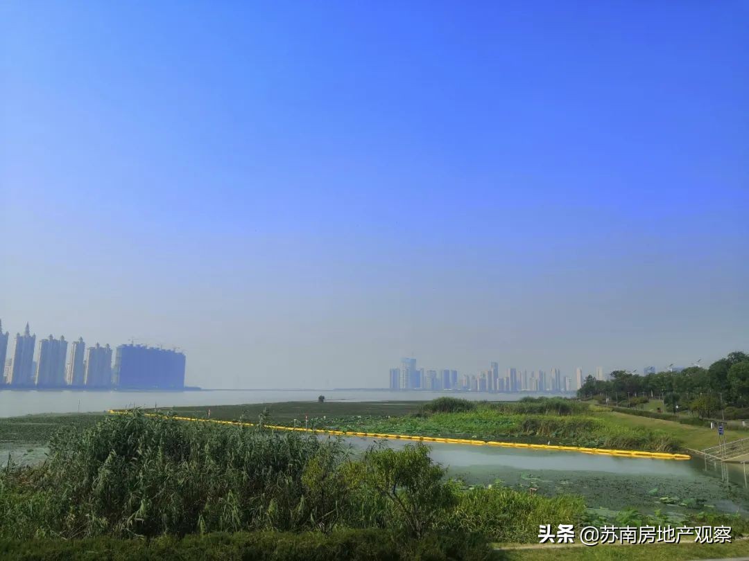 买花港,就是一场博弈