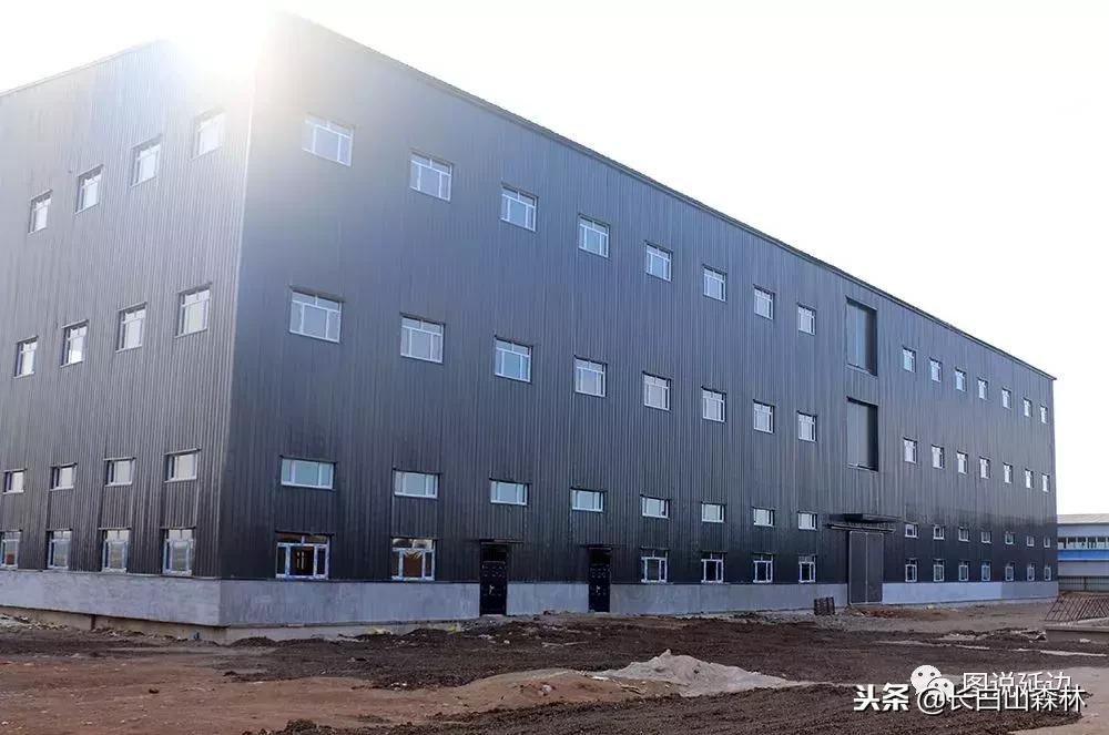 延边改革开放40周年变迁,延吉改革开放变化