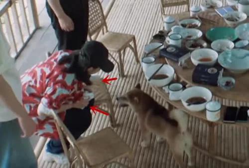 张子枫和小h,张子枫小h