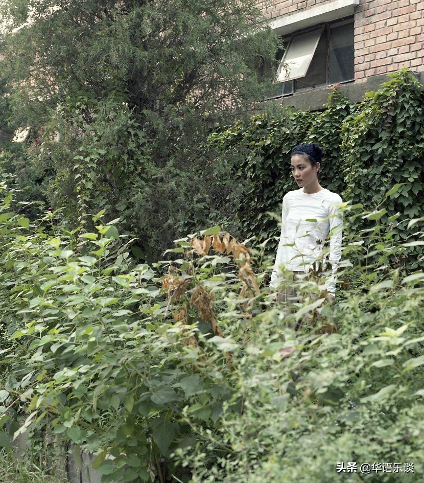 19岁歌迷投资百万为王菲出专辑,圆菲迷一个18年的梦