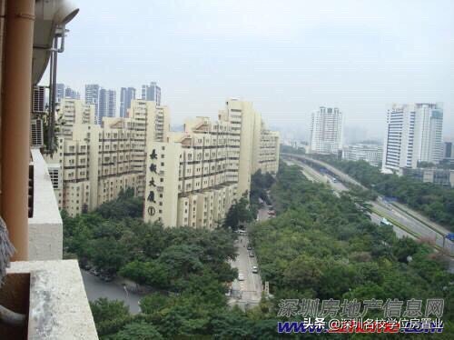 最新深圳百花片区学位房,深圳市福田区百花片区学位房
