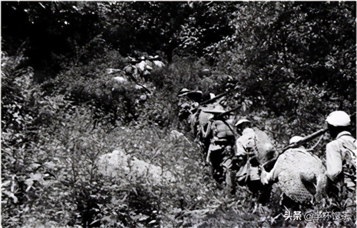 「说谍」战火青春,新四军少女电台力挽狂澜,真女兵绝不搔首弄姿