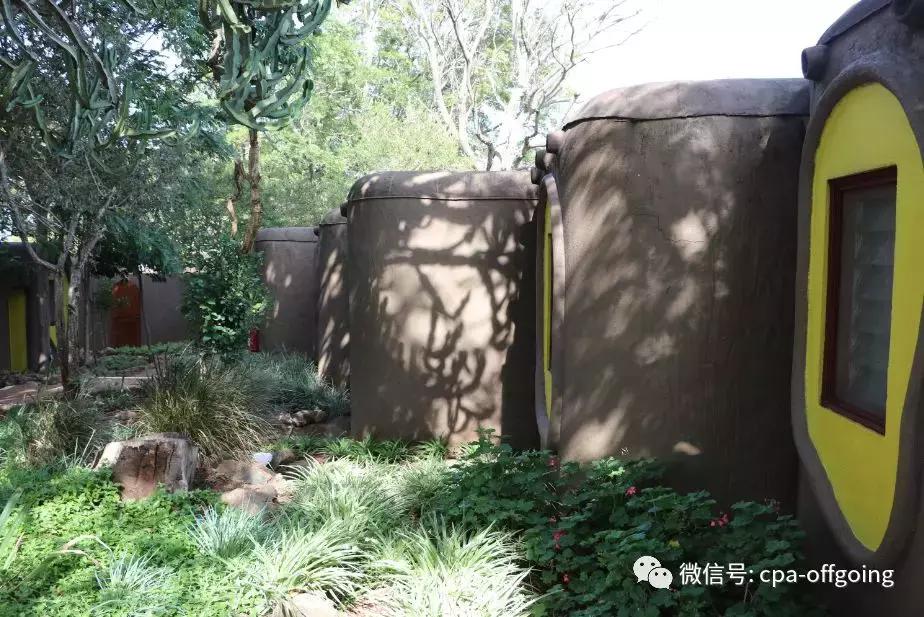 这个野奢的国度，欧美、日韩人都爱去，为何我们国家没人去？