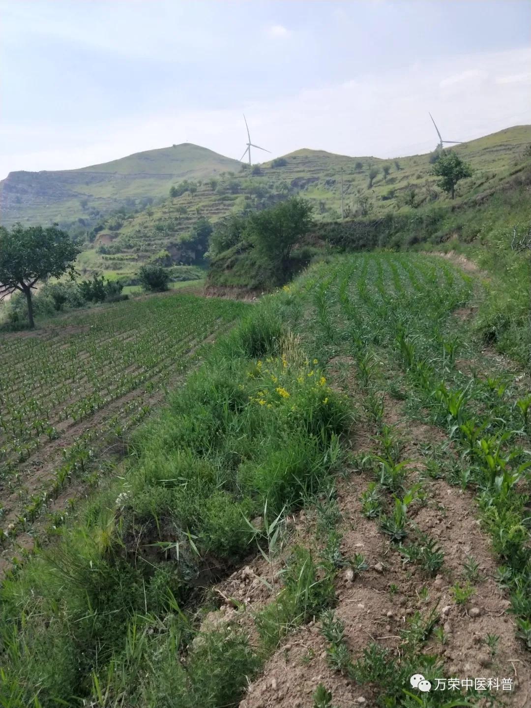 跟我回家在线免费看,跟我回家免费看