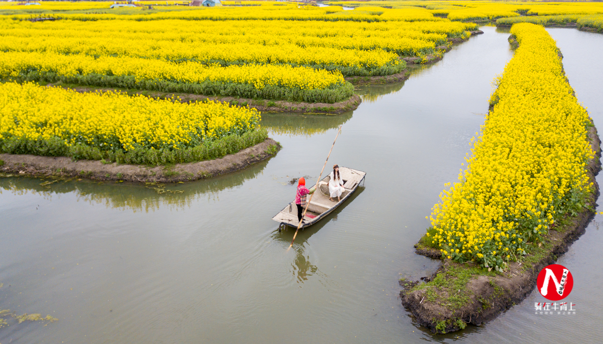 兴化三日游自驾游路线,去兴化看油菜花海攻略