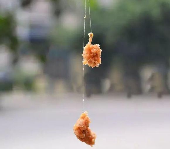 解决小鱼闹窝简单有效的办法,怎么避免小鱼闹窝夏季