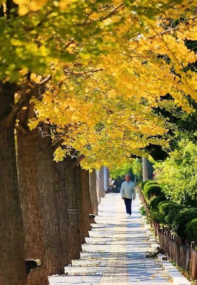 辽宁省有个小城市,辽宁最有魅力的小城