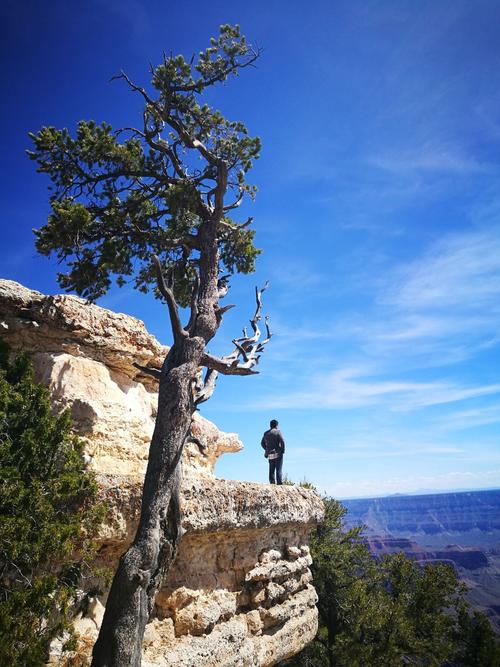 合肥市中考查询2021,2022合肥中考统计