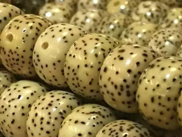 值得盘玩的几种星月,星月各种品种玩出来的区别