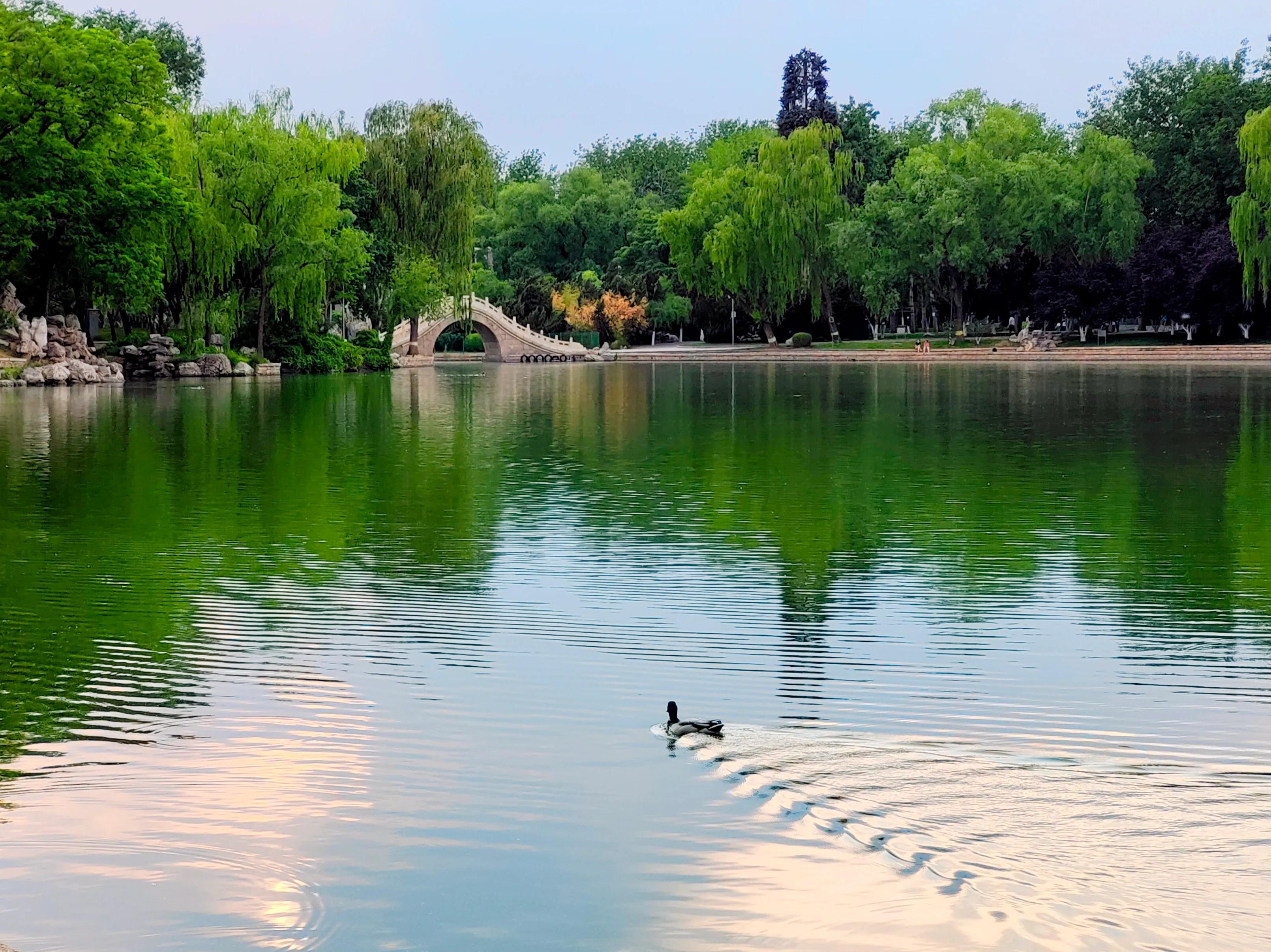 手拍世界（手机摄影平台）-群员作品集（总第671期）