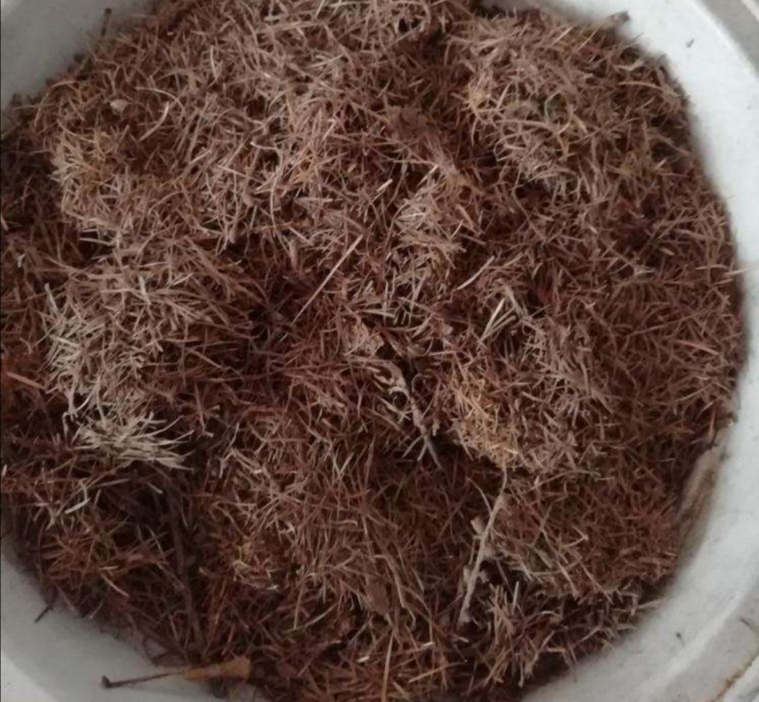 如何制作肥沃营养土,最好养的营养土