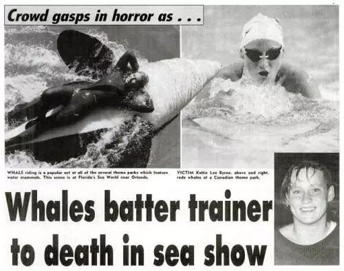 每个生命都值得被虐待,任何生命都不该被虐待